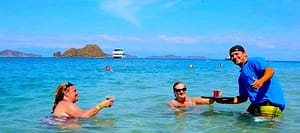 Tortuga Big Tour